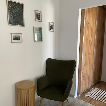 Carol Apartament'S ティミショアラ エクステリア 写真