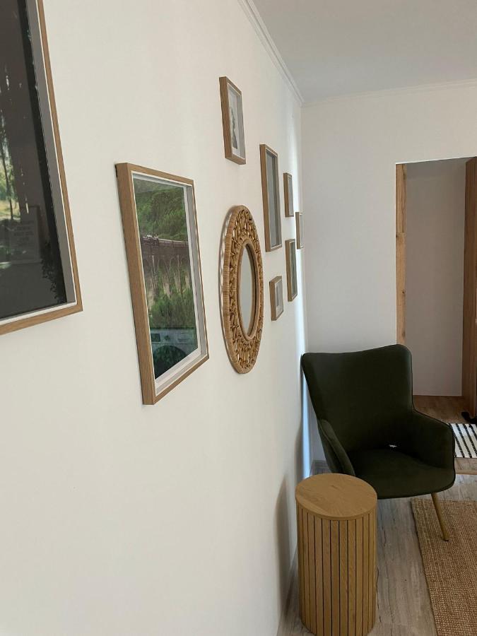 Carol Apartament'S ティミショアラ エクステリア 写真