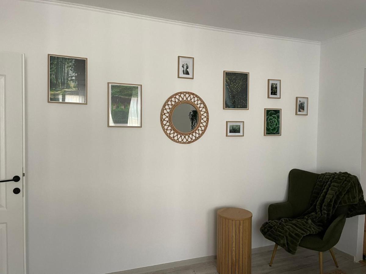 Carol Apartament'S ティミショアラ エクステリア 写真